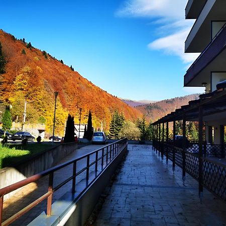 Serenity Suite Σινάια Εξωτερικό φωτογραφία